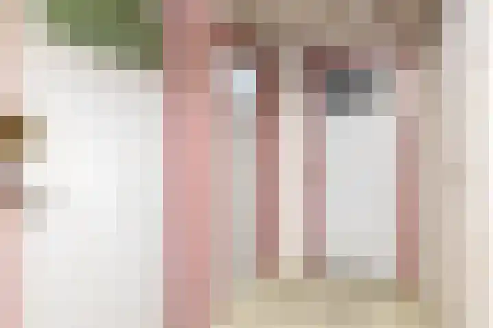 Rubenssingel 71 Capelle aan den IJssel thumbnail 30