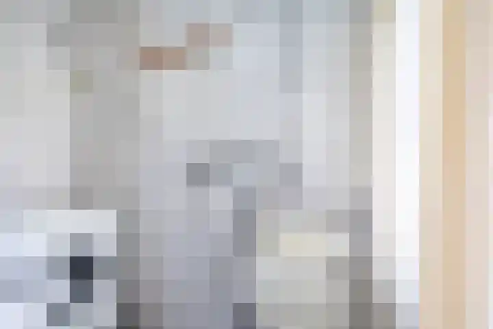 Rubenssingel 71 Capelle aan den IJssel thumbnail 4