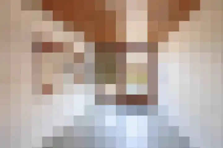 Rubenssingel 71 Capelle aan den IJssel thumbnail 7