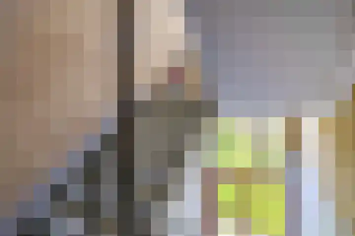 Rubenssingel 71 Capelle aan den IJssel thumbnail 9