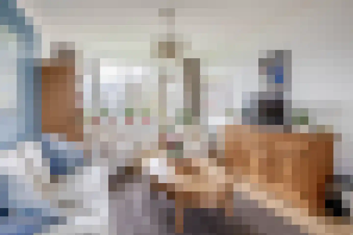 Rubenssingel 77 Capelle aan den IJssel thumbnail 12