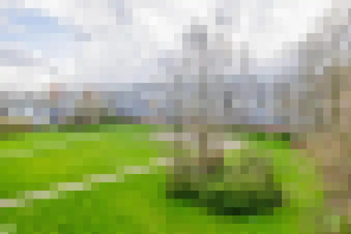 Rubenssingel 77 Capelle aan den IJssel thumbnail 24
