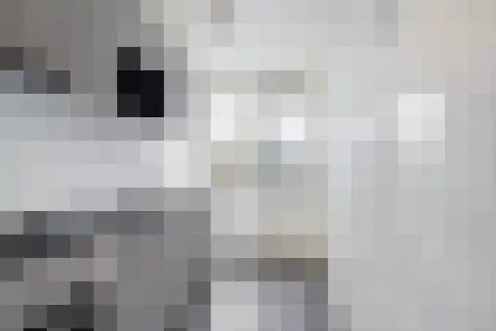 Rubenssingel 79 Capelle aan den IJssel thumbnail 12
