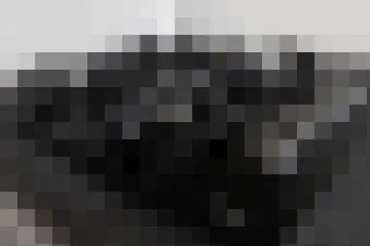 Rubenssingel 79 Capelle aan den IJssel thumbnail 13