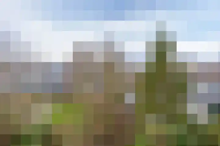 Rubenssingel 79 Capelle aan den IJssel thumbnail 21