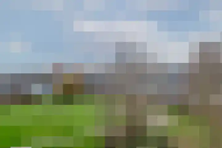 Rubenssingel 79 Capelle aan den IJssel thumbnail 22