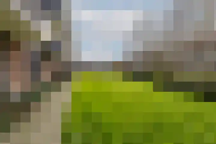 Rubenssingel 79 Capelle aan den IJssel thumbnail 23