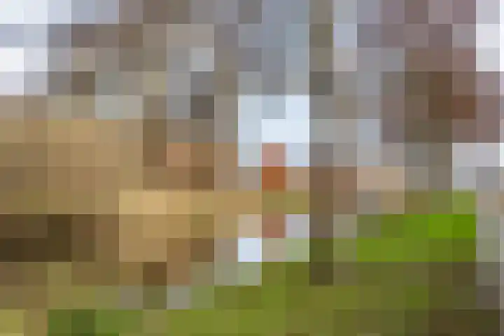 Rubenssingel 79 Capelle aan den IJssel thumbnail 25