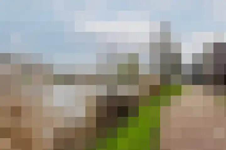 Rubenssingel 79 Capelle aan den IJssel thumbnail 31