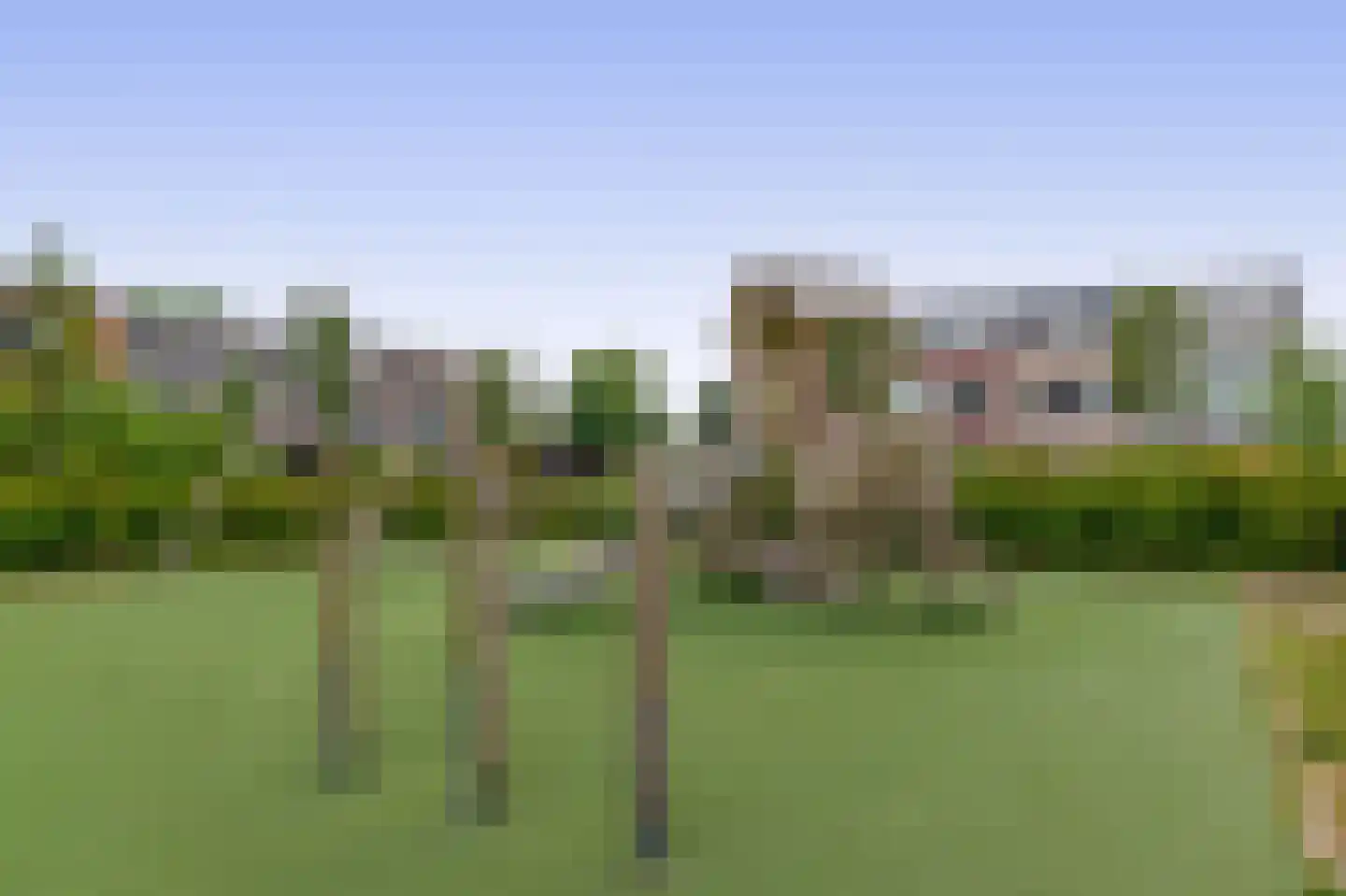 Rubenssingel 81 Capelle aan den IJssel thumbnail 43