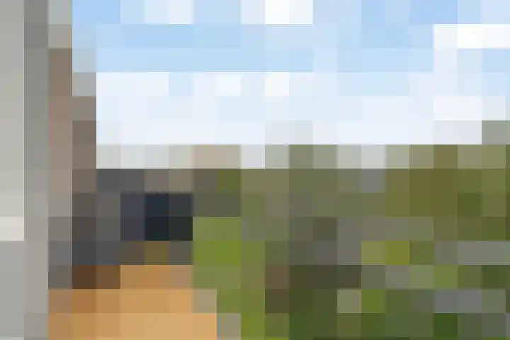 Rubenssingel 83 Capelle aan den IJssel thumbnail 23