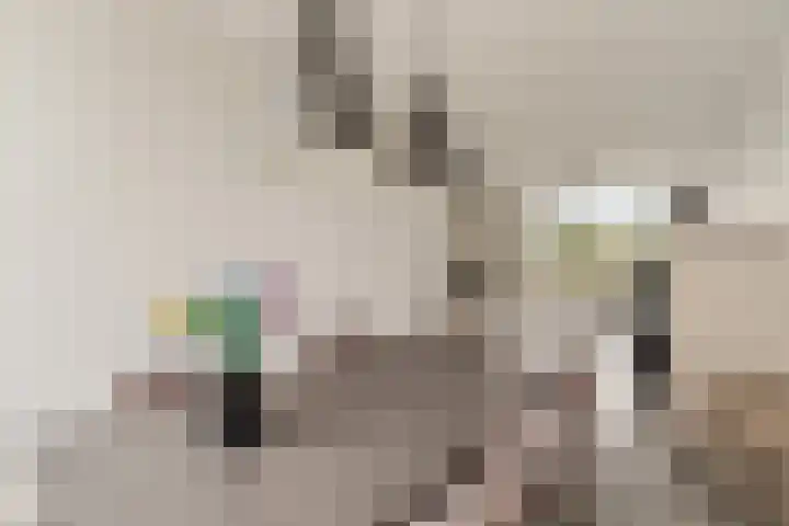 Rubenssingel 83 Capelle aan den IJssel thumbnail 7
