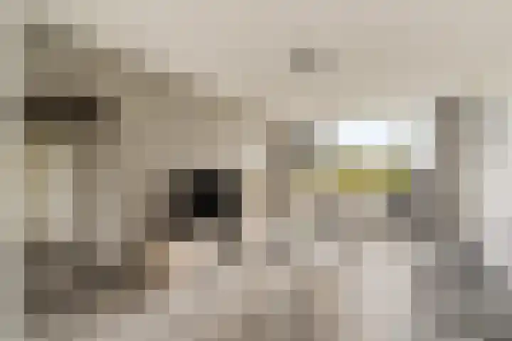 Rubenssingel 83 Capelle aan den IJssel thumbnail 8