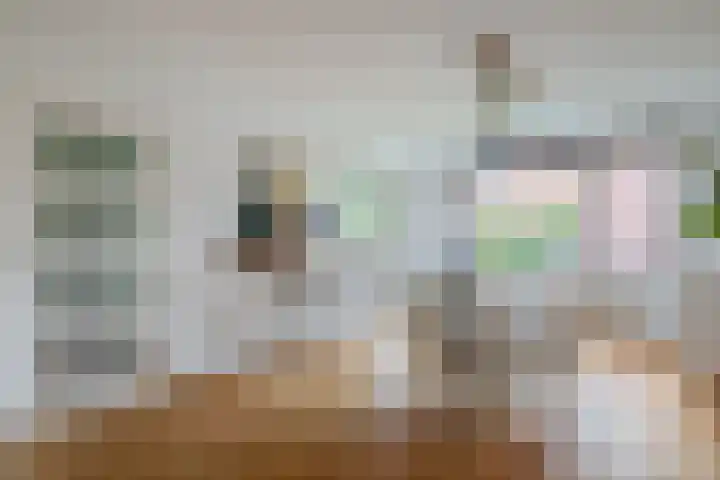 Rubenssingel 93 Capelle aan den IJssel thumbnail 10