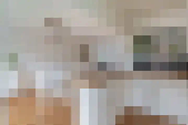 Rubenssingel 93 Capelle aan den IJssel thumbnail 11