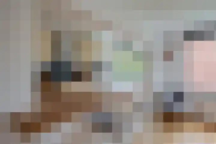 Rubenssingel 93 Capelle aan den IJssel thumbnail 15