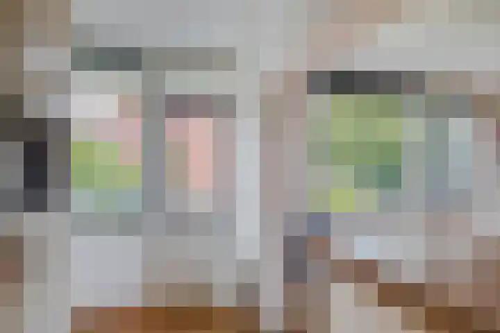 Rubenssingel 93 Capelle aan den IJssel thumbnail 17