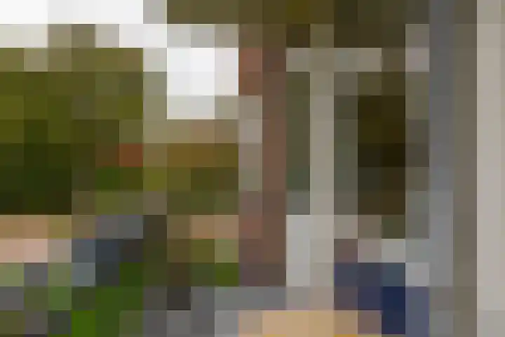 Rubenssingel 93 Capelle aan den IJssel thumbnail 18