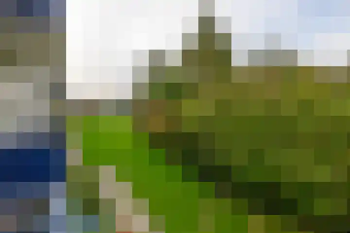 Rubenssingel 93 Capelle aan den IJssel thumbnail 19