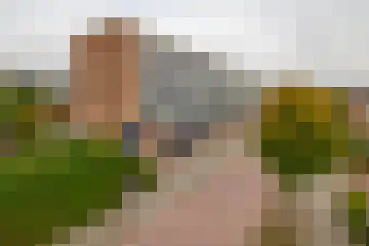 Rubenssingel 93 Capelle aan den IJssel thumbnail 25