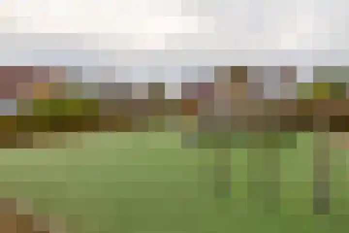 Rubenssingel 93 Capelle aan den IJssel thumbnail 30