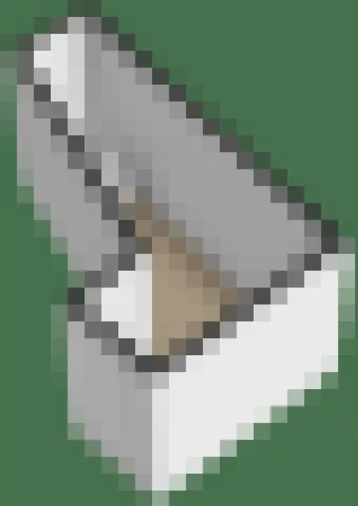 Rubenssingel 93 Capelle aan den IJssel thumbnail 34