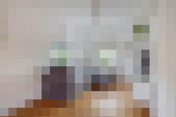 Rubenssingel 93 Capelle aan den IJssel thumbnail 7