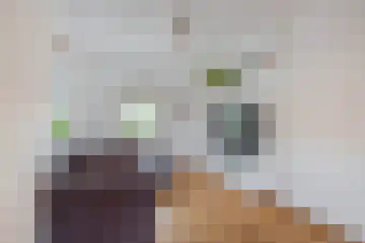 Rubenssingel 93 Capelle aan den IJssel thumbnail 8