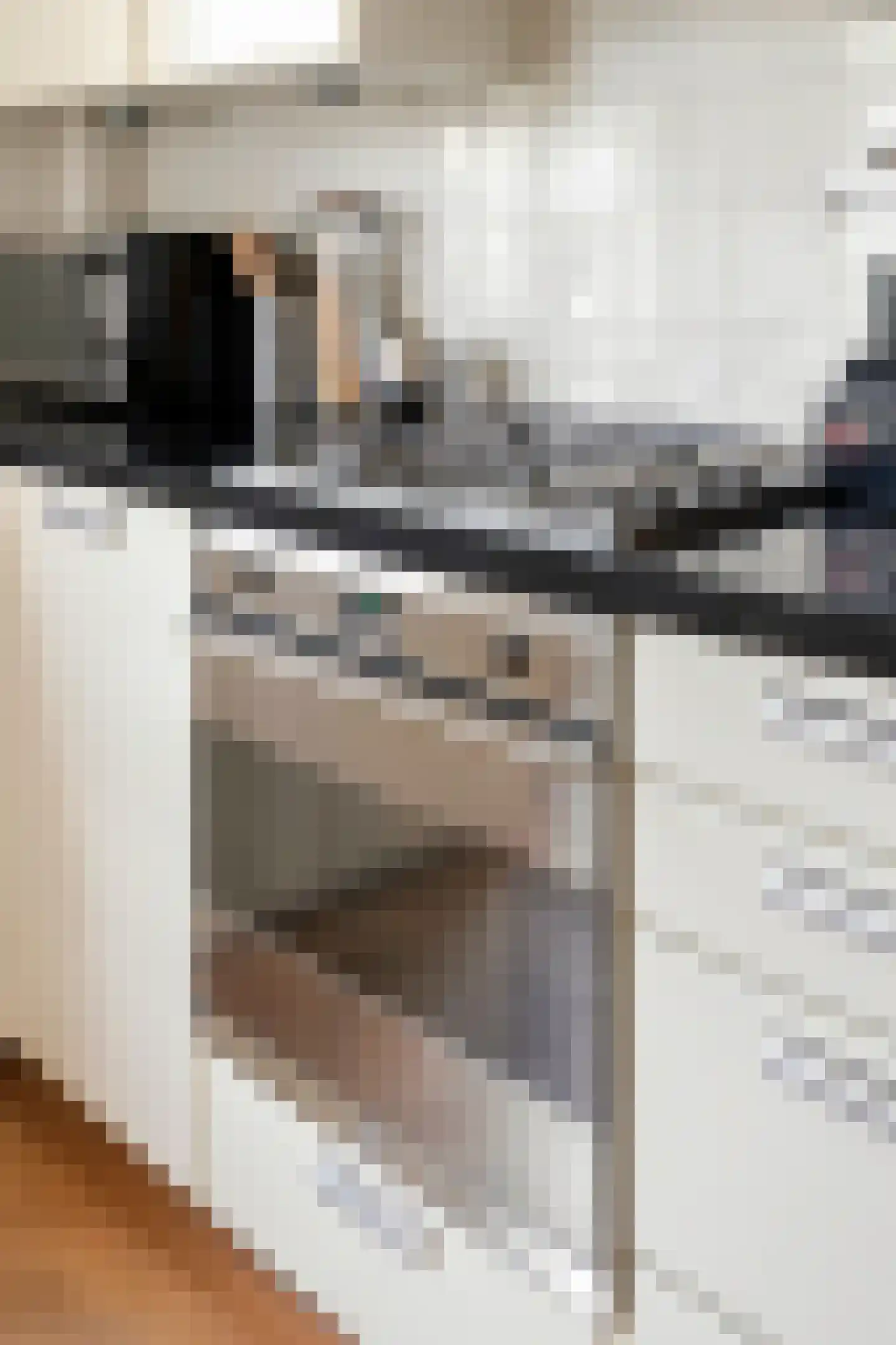 Rubensstraat 10 2 Amsterdam thumbnail 18