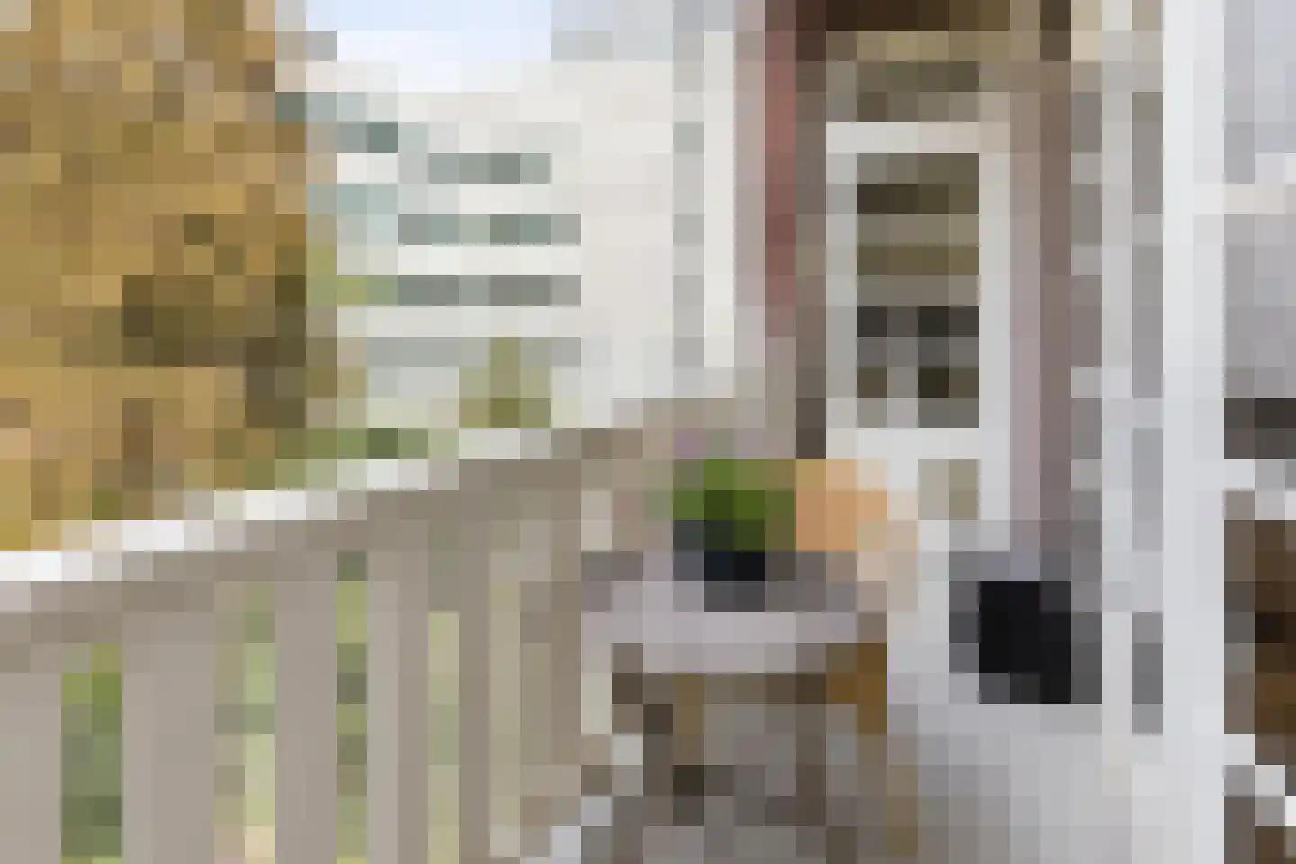 Rubensstraat 10 2 Amsterdam thumbnail 9