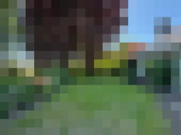 Rubensstraat 10 Coevorden thumbnail 10