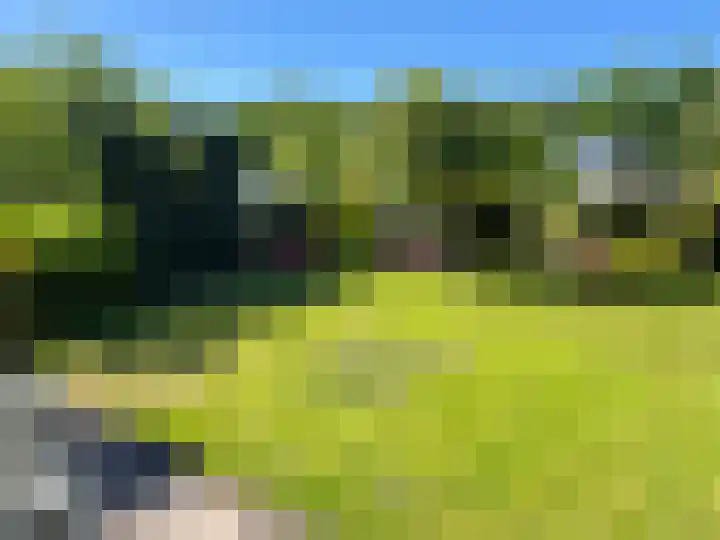 Rubensstraat 10 Coevorden thumbnail 41