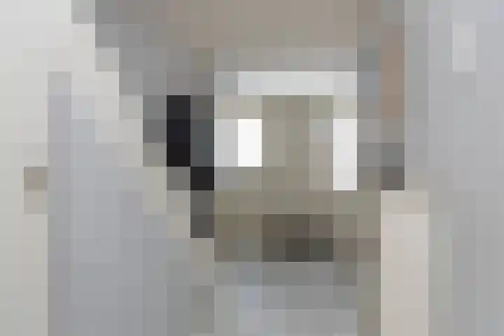 Rubensstraat 14 Papendrecht thumbnail 15