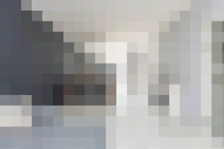 Rubensstraat 14 Papendrecht thumbnail 5