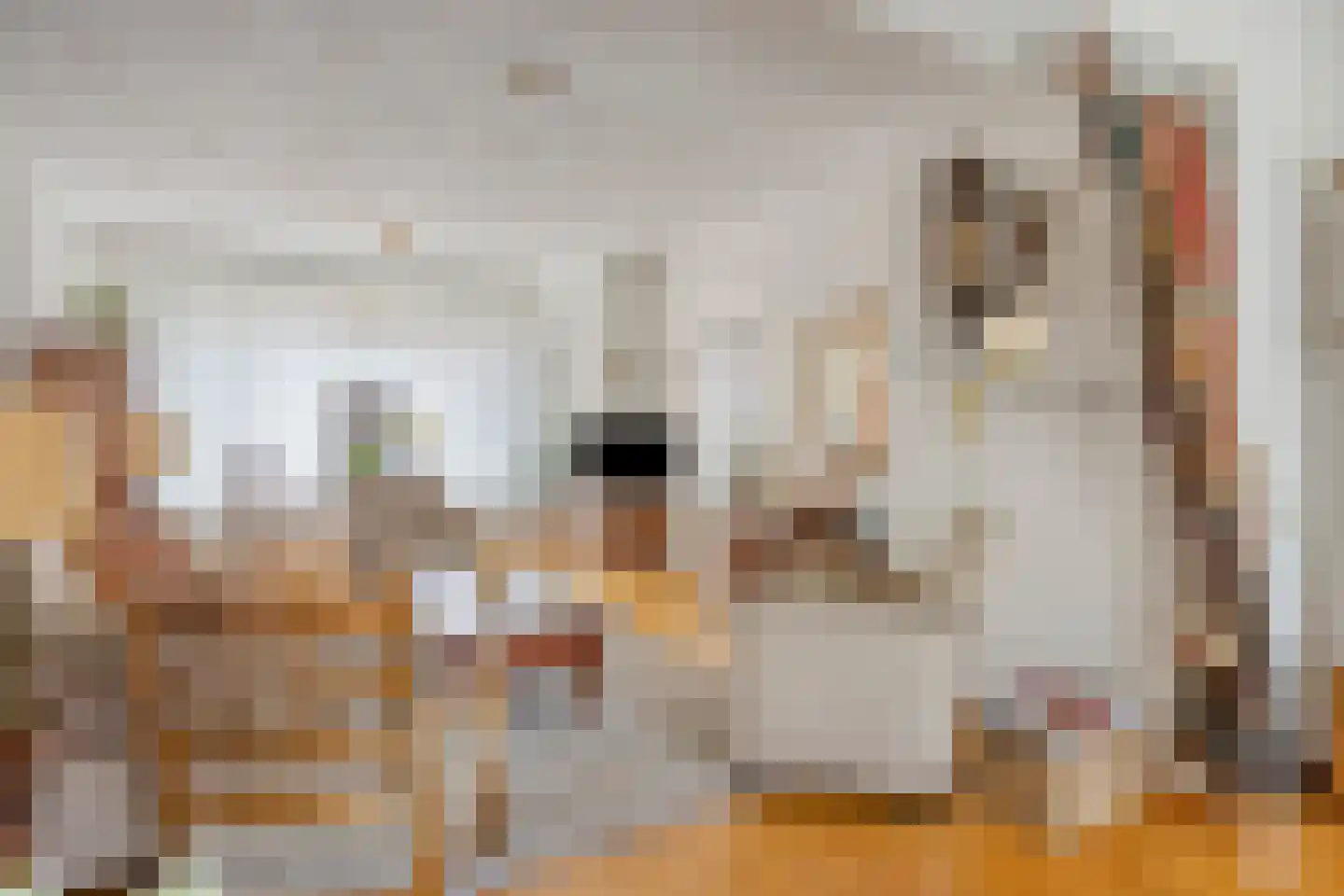 Rubensstraat 17 's-Hertogenbosch thumbnail 8