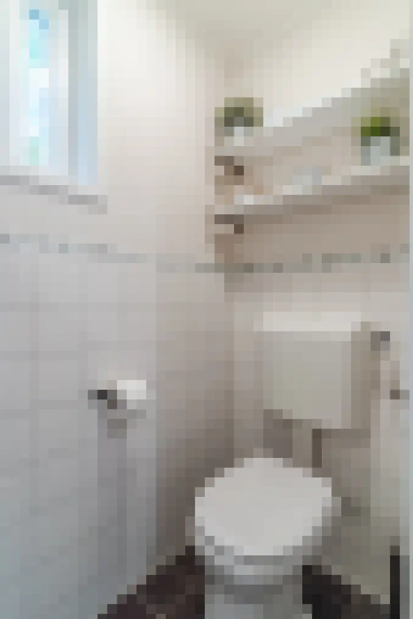 Rubensstraat 18 Raamsdonksveer thumbnail 18