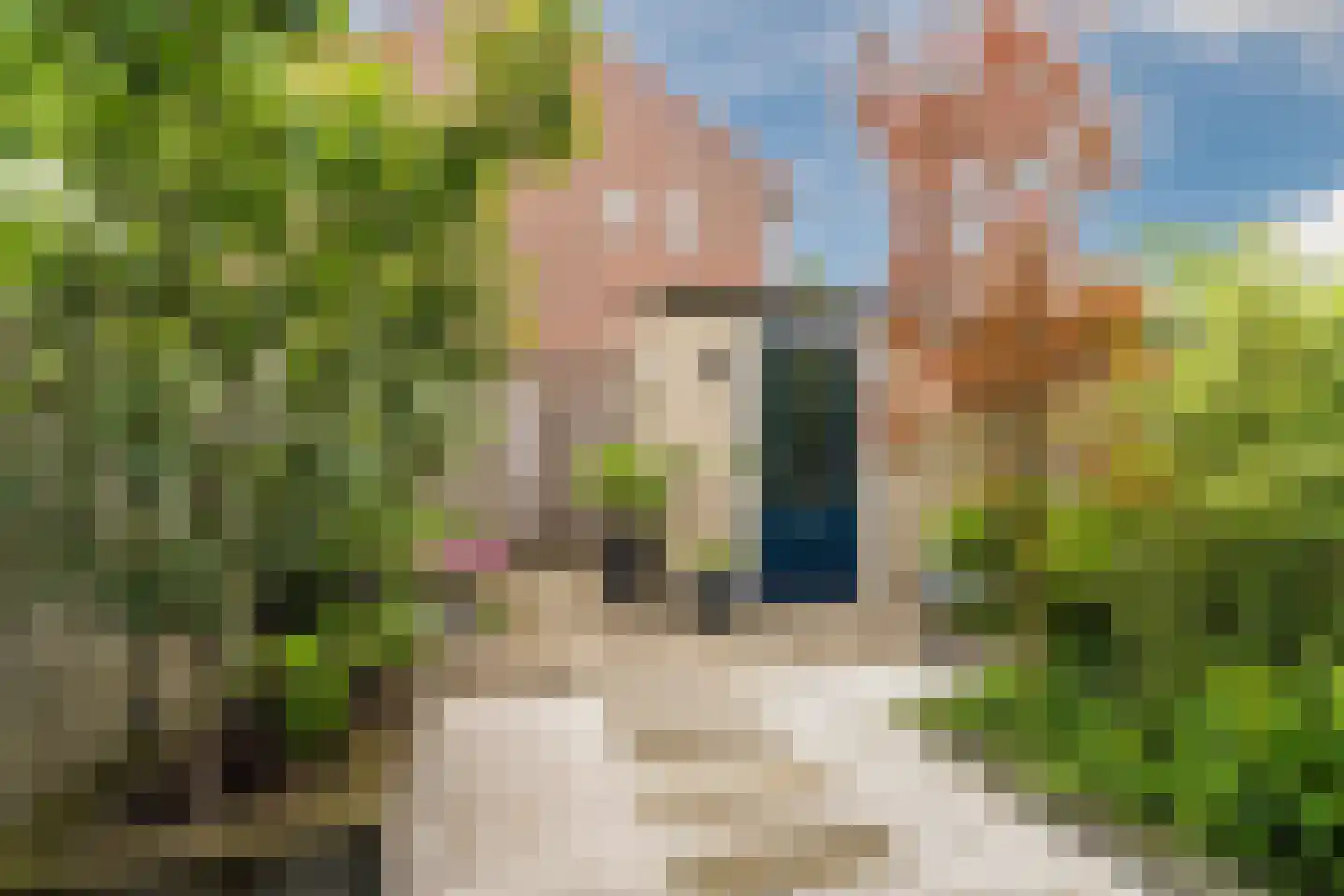 Rubensstraat 18 Raamsdonksveer thumbnail 39