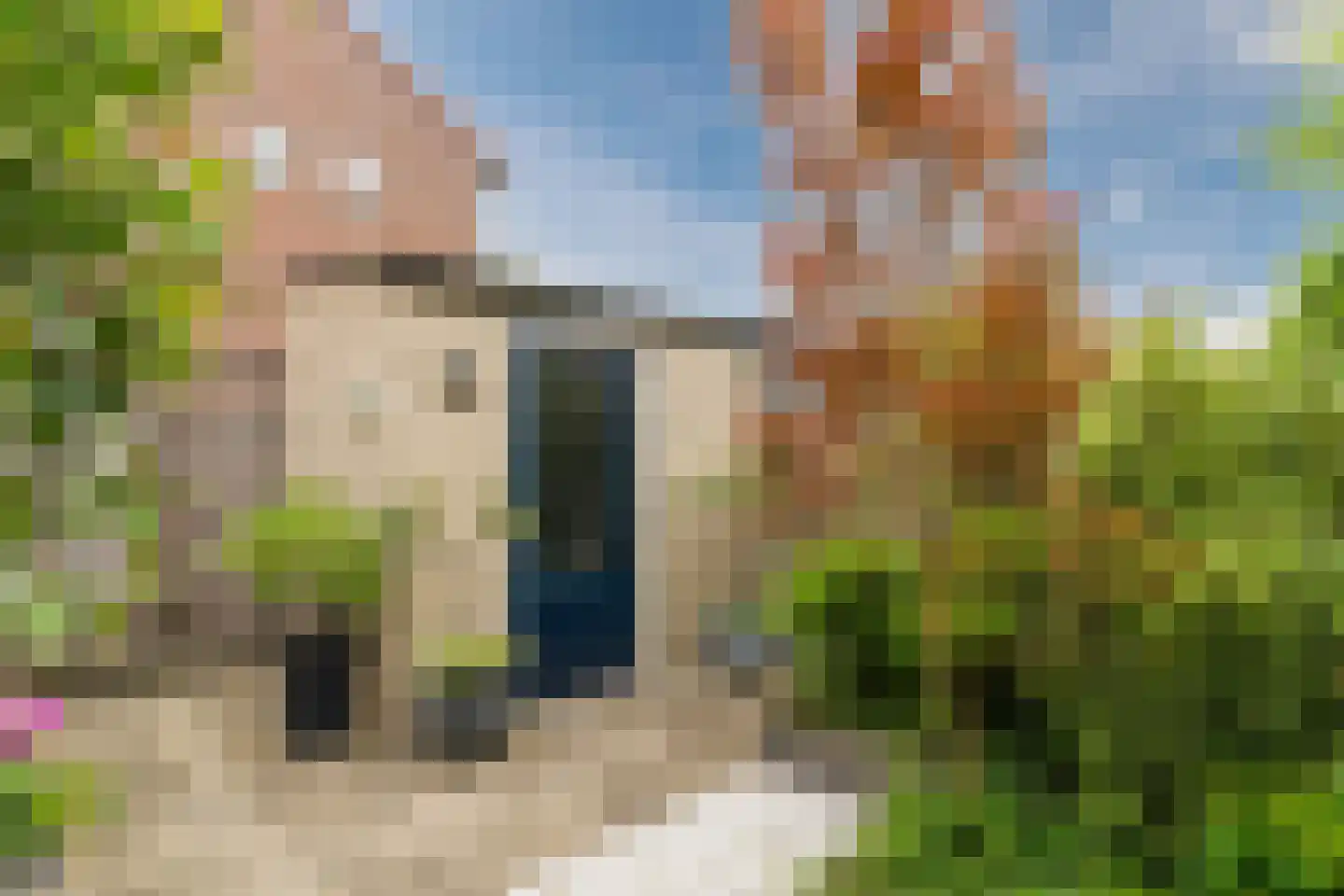 Rubensstraat 18 Raamsdonksveer thumbnail 40
