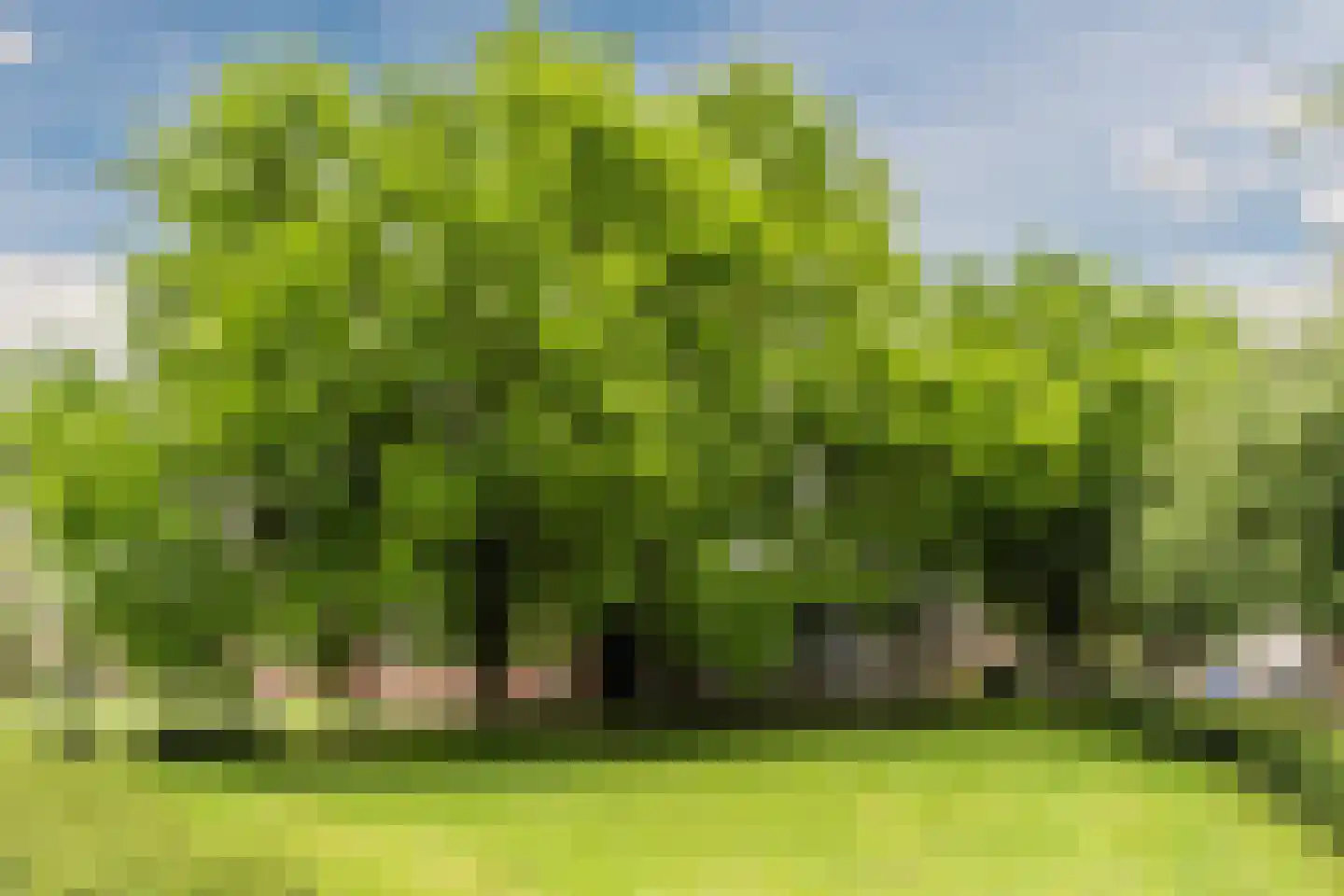 Rubensstraat 18 Raamsdonksveer thumbnail 47