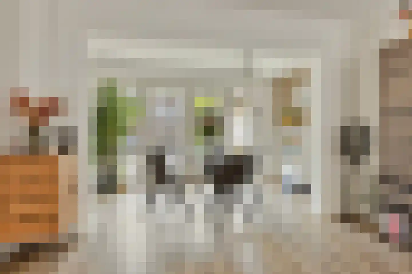 Rubensstraat 19 's-Hertogenbosch thumbnail 9