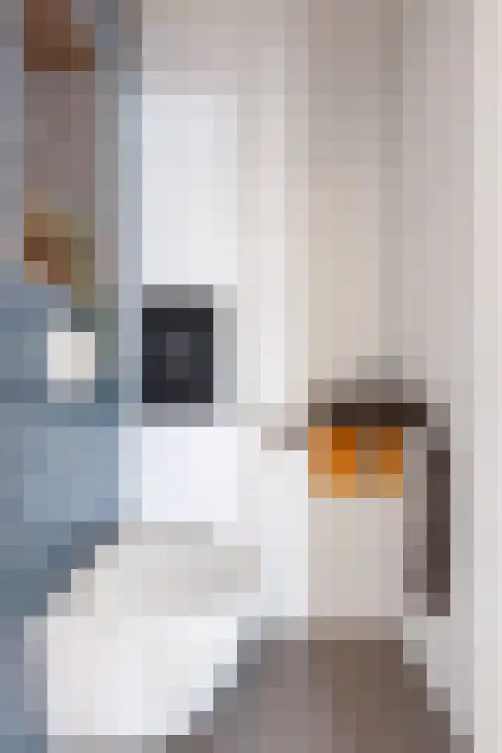Rubensstraat 2 Groningen thumbnail 24
