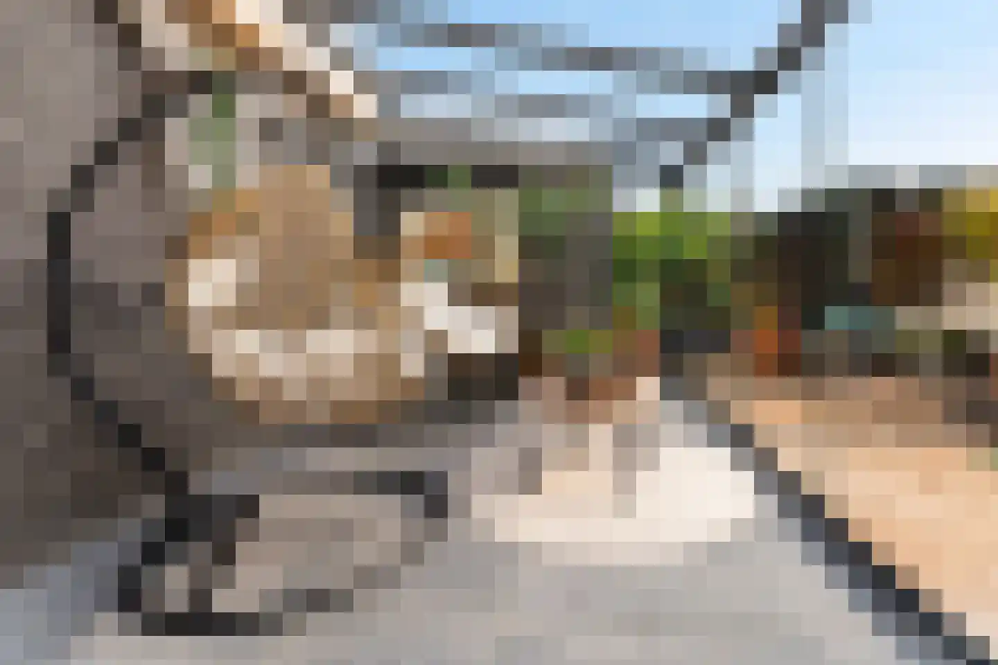 Rubensstraat 2 Heerlen thumbnail 25