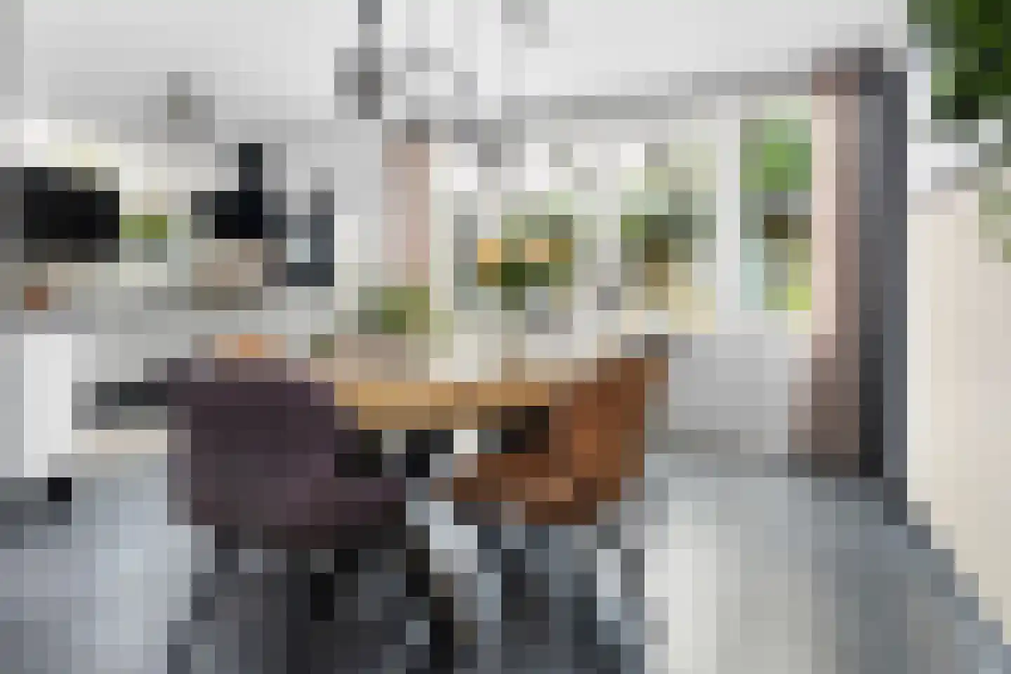 Rubensstraat 2 Heerlen thumbnail 9