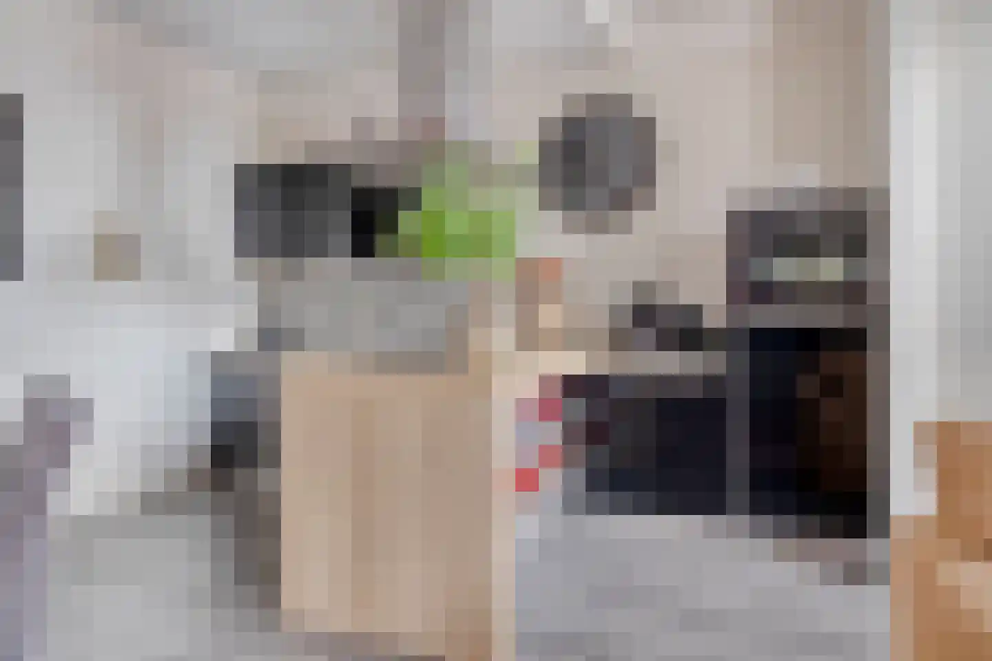 Rubensstraat 2 Raamsdonksveer thumbnail 13