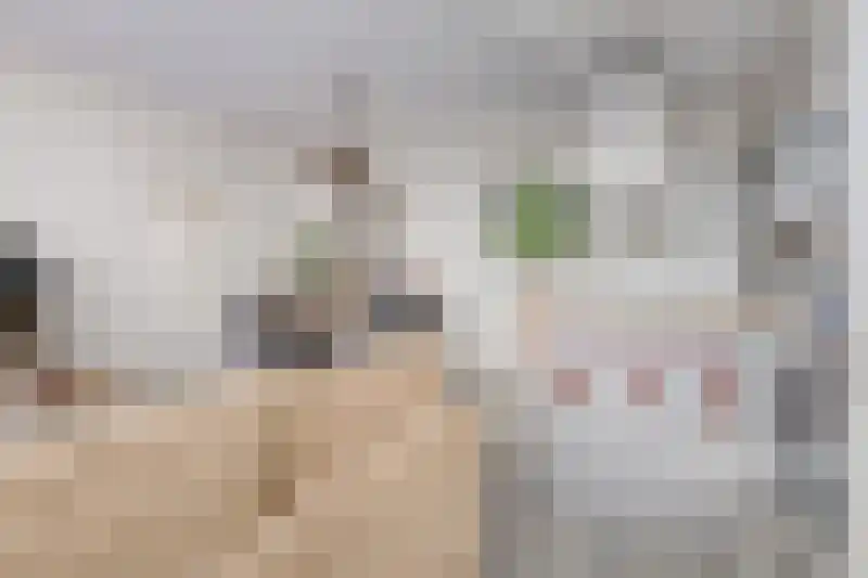 Rubensstraat 2 Raamsdonksveer thumbnail 14