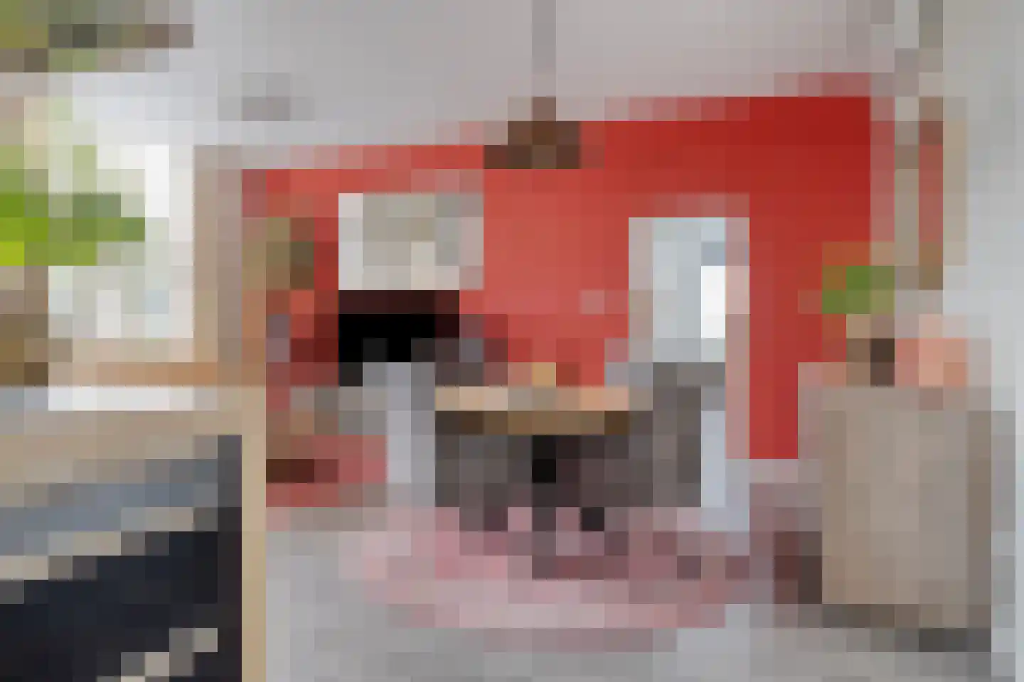 Rubensstraat 2 Raamsdonksveer thumbnail 16