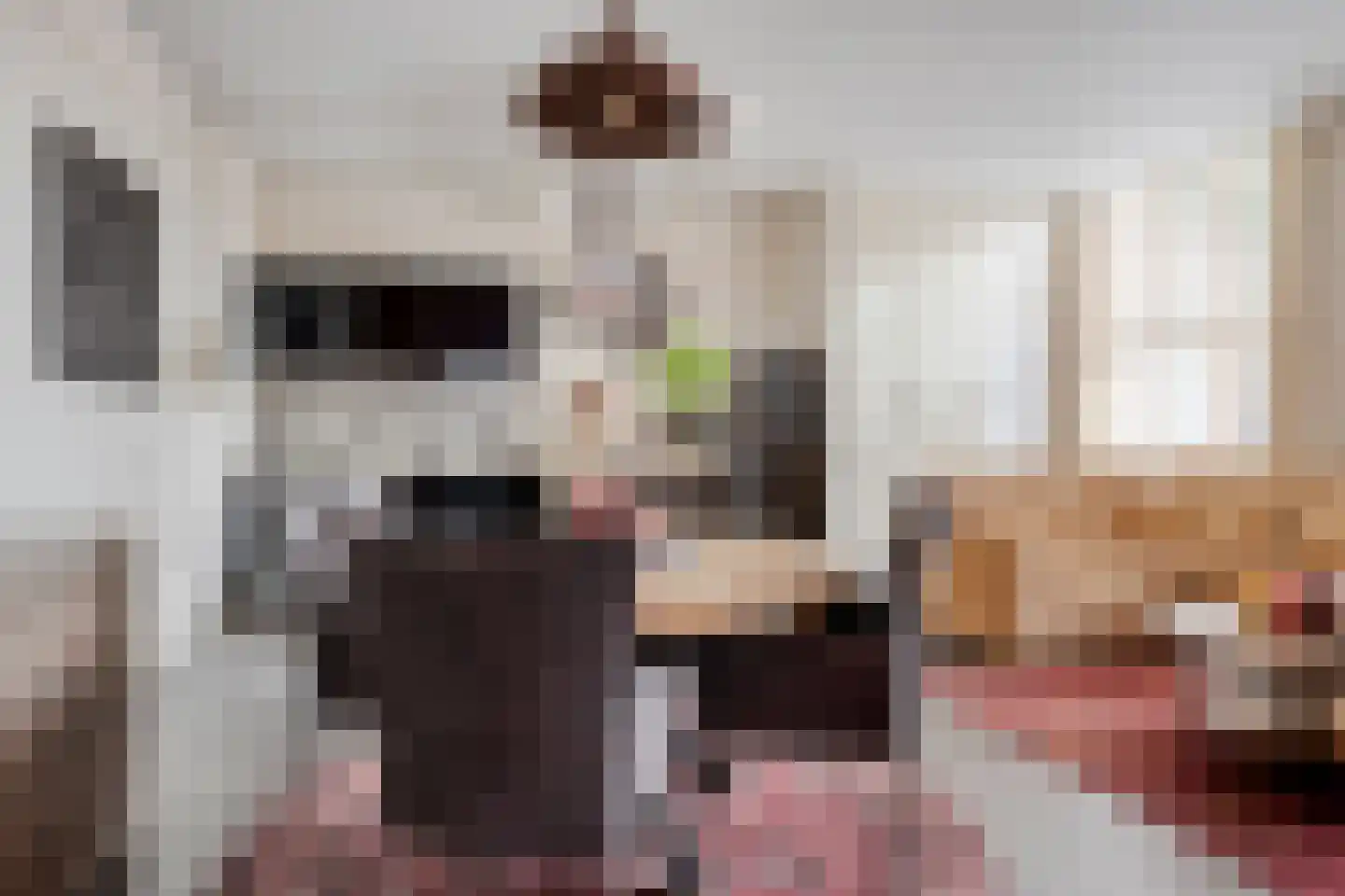 Rubensstraat 2 Raamsdonksveer thumbnail 18