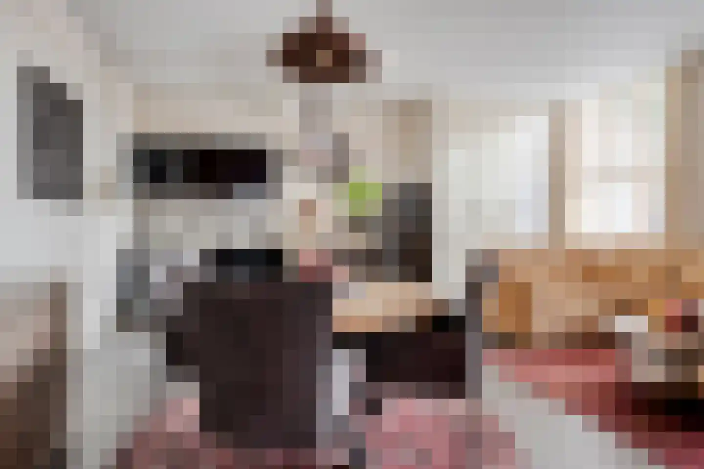Rubensstraat 2 Raamsdonksveer thumbnail 19