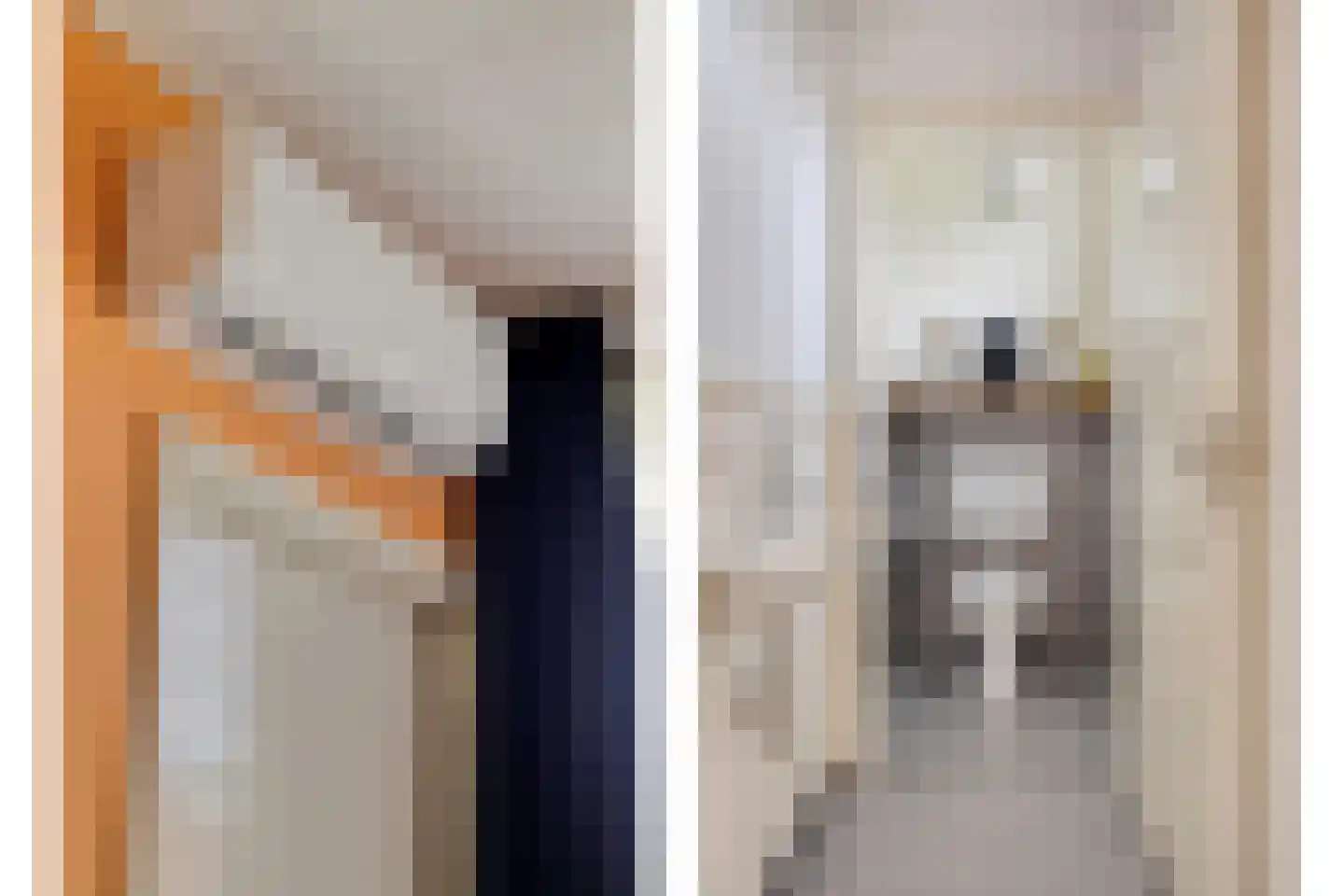 Rubensstraat 2 Raamsdonksveer thumbnail 22