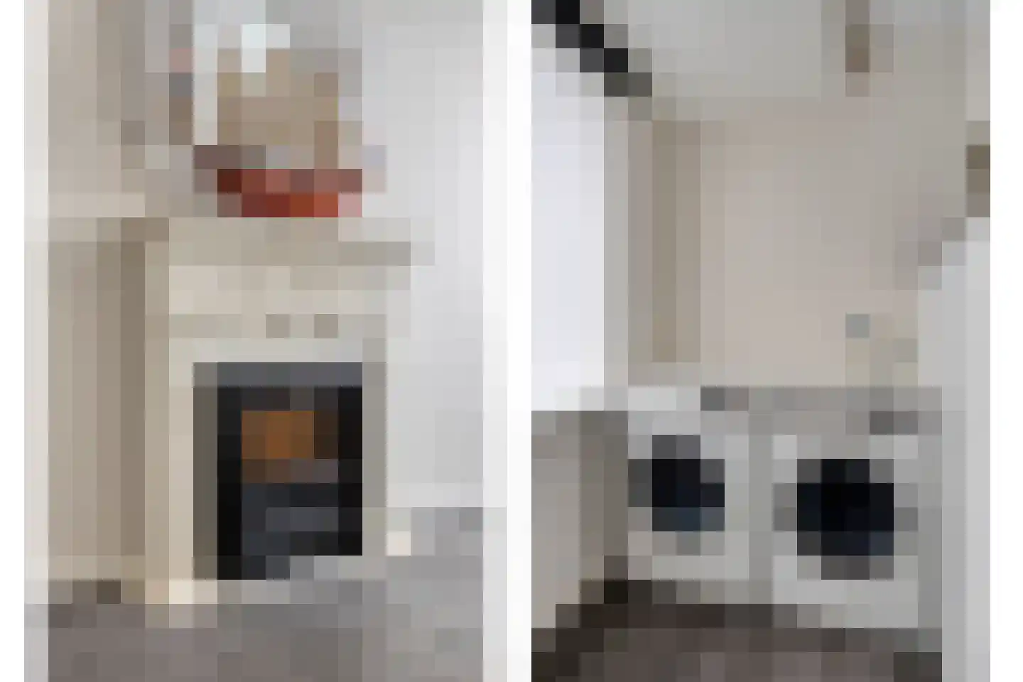 Rubensstraat 2 Raamsdonksveer thumbnail 47